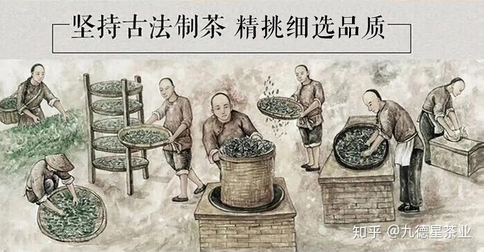 九德星茶业以茶为媒铸文化传承之根