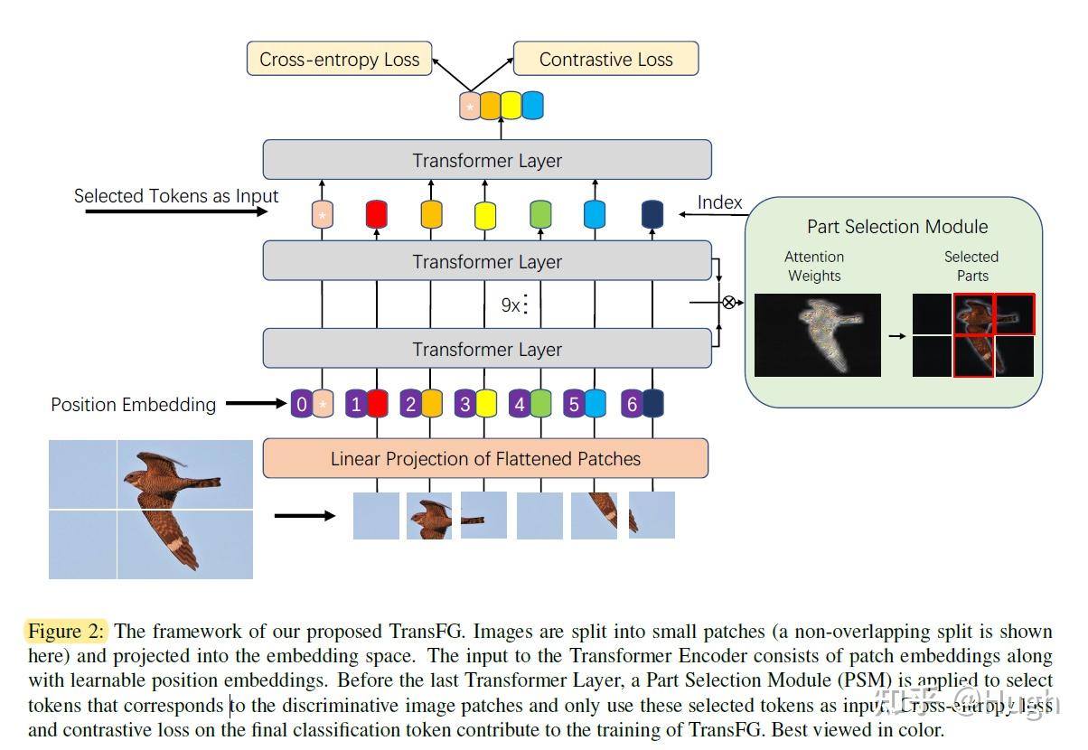 Vision Transformer阅读 知乎
