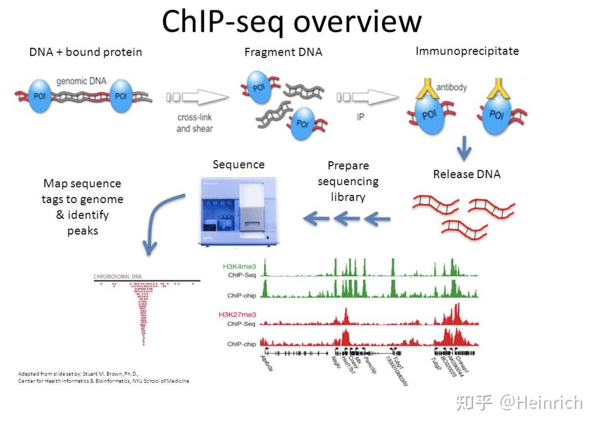 coursera课程笔记introductiontogenomictechnologies1