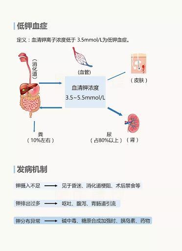 5mmol/l,如果血鉀低於3.5mmol/l則表示有