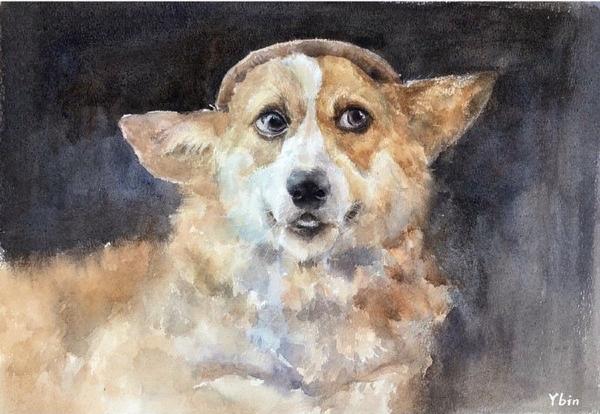 关于水彩 钢笔淡彩相关画材介绍 测评 干货分享 知乎