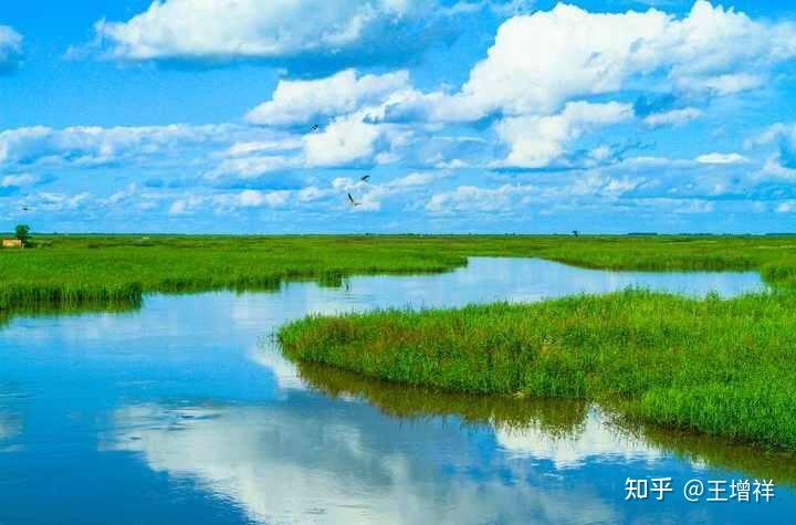 中国最美的100个地方——扎龙自然保护区(58) - 知乎