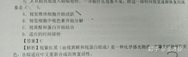 暗适应 - 知乎