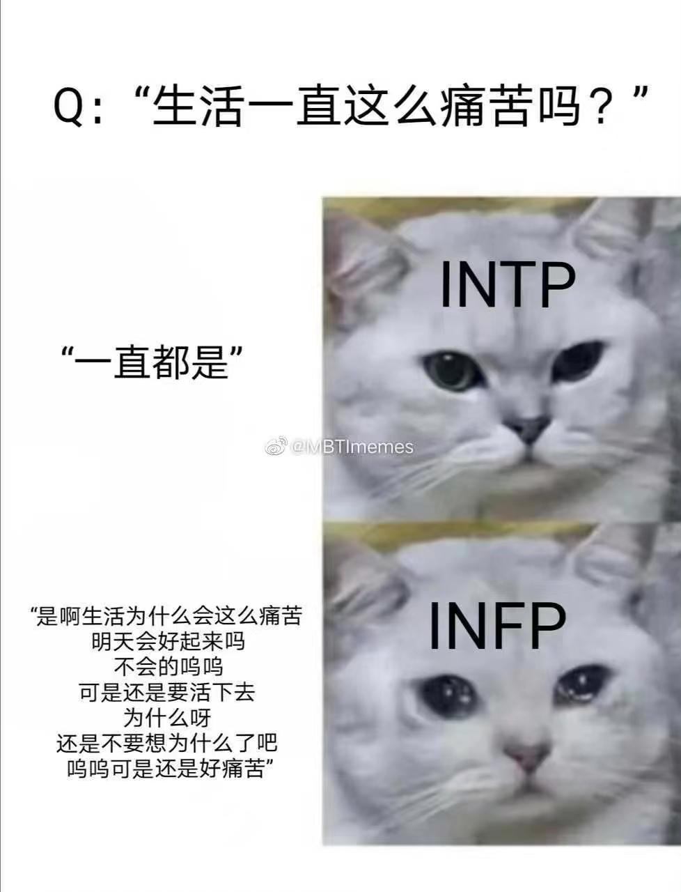 【MBTI表情包】INTP表情包 | 逻辑学家人格表情包 | INTP梗图 - 知乎