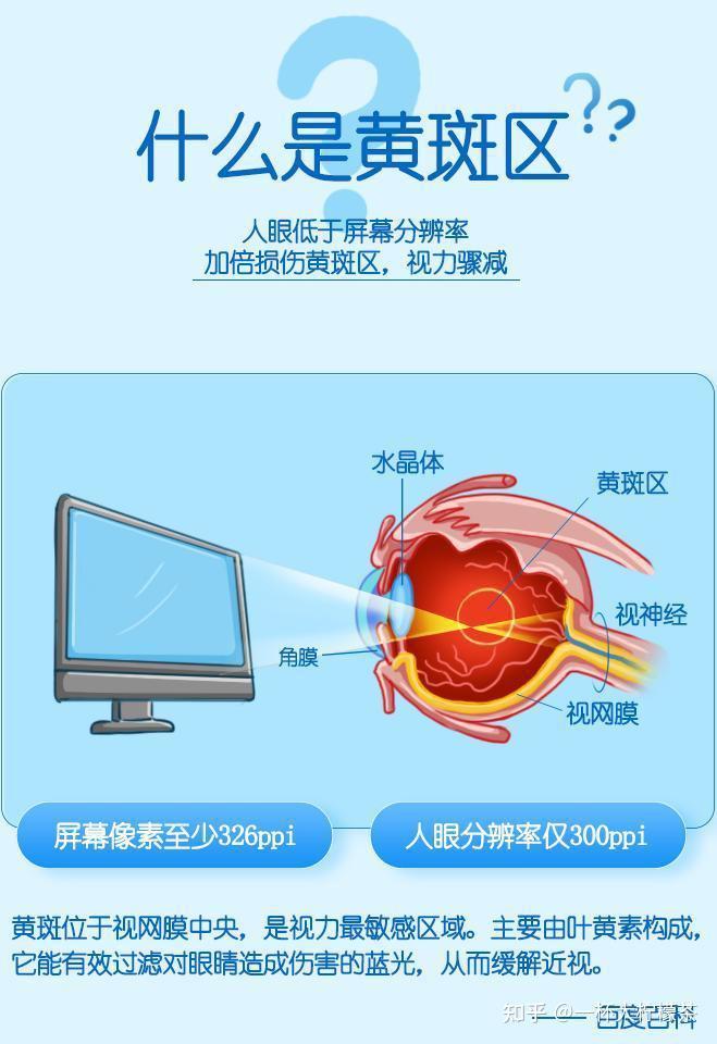 小朋友发育中的眼球更需要充足的叶黄素,来保护关键的黄斑区 知乎