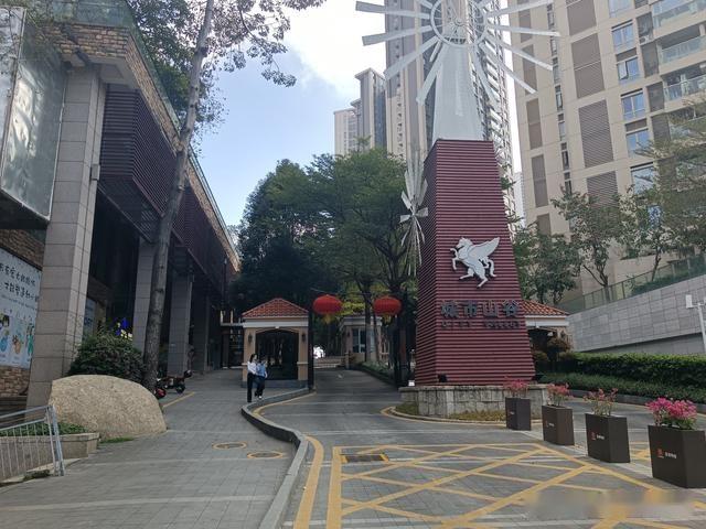 深圳法拍房城市山谷1a21号别墅价值几何之吃瓜群众视角