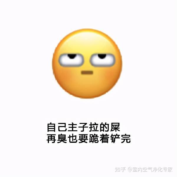 這6個表情包就是鏟屎官的真實寫照貼切嗎