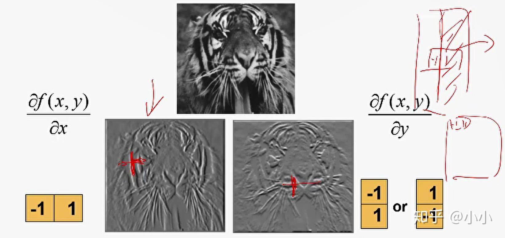 边缘检测是图像处理和计算机视觉中,尤其是特征提取中的一个研究领域.