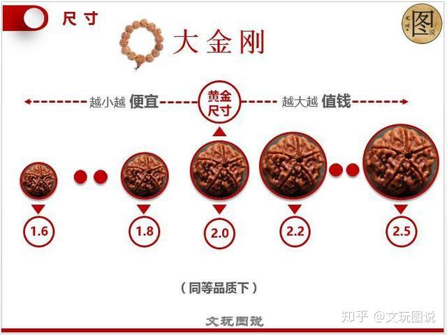 图说丨金刚菩提金刚知识大全看图就懂