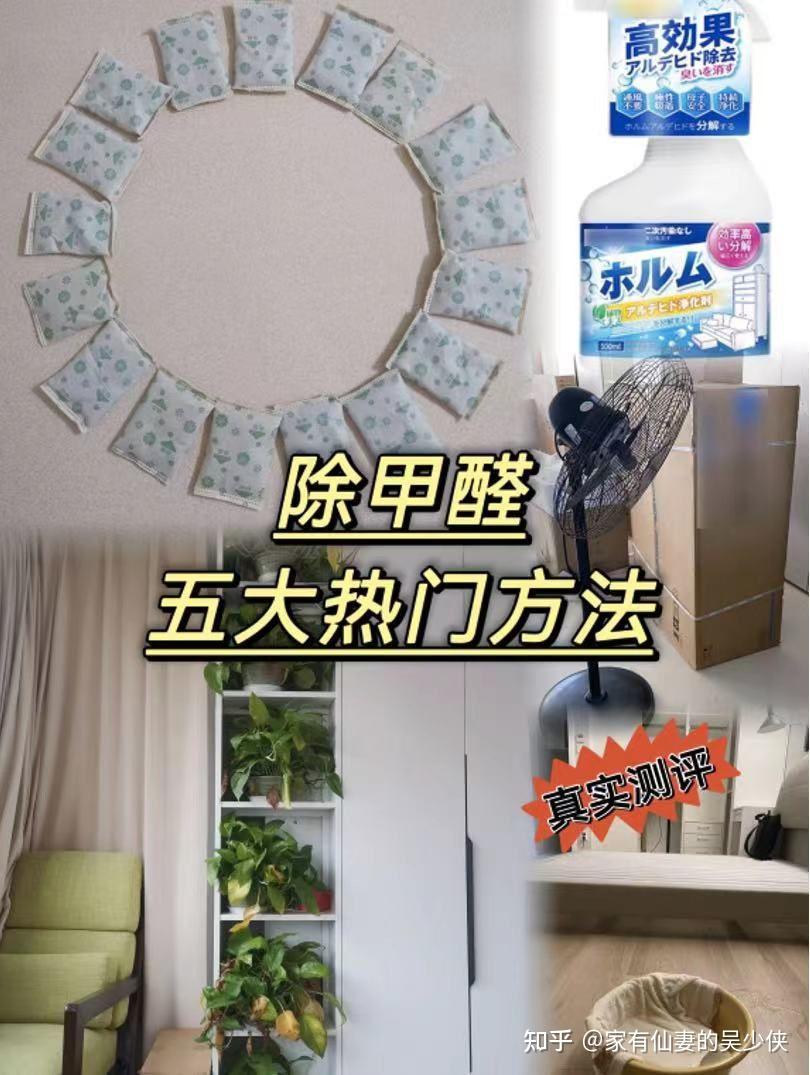 真实测评|新房除甲醛五大热门方法对比 - 知乎