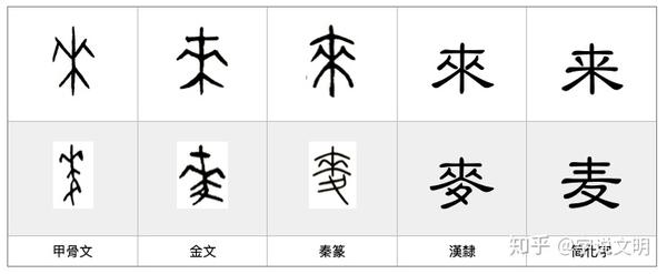 麦 汉字的字元 草木植物 知乎