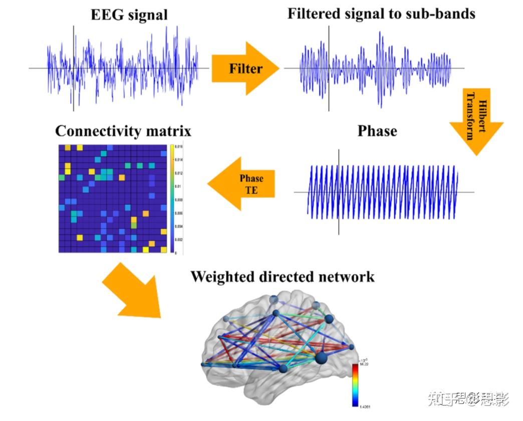 基于脑电信号的重度抑郁症定向功能性脑网络图论分析 知乎