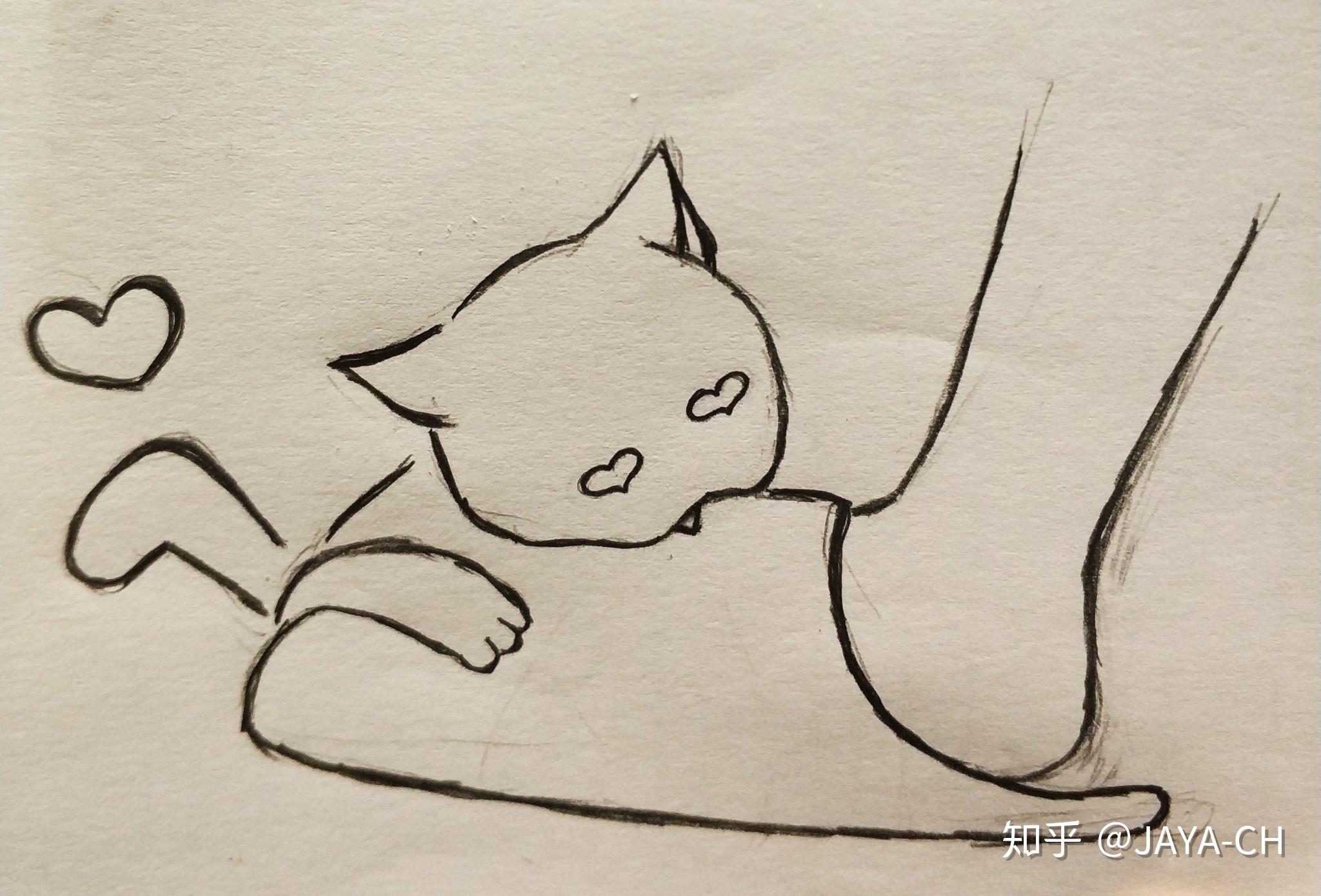 你收养的流浪猫现在怎么样了