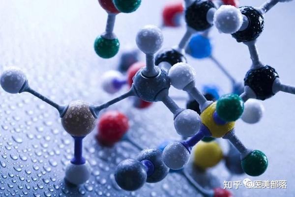科普 | 生命科学:生物体内的