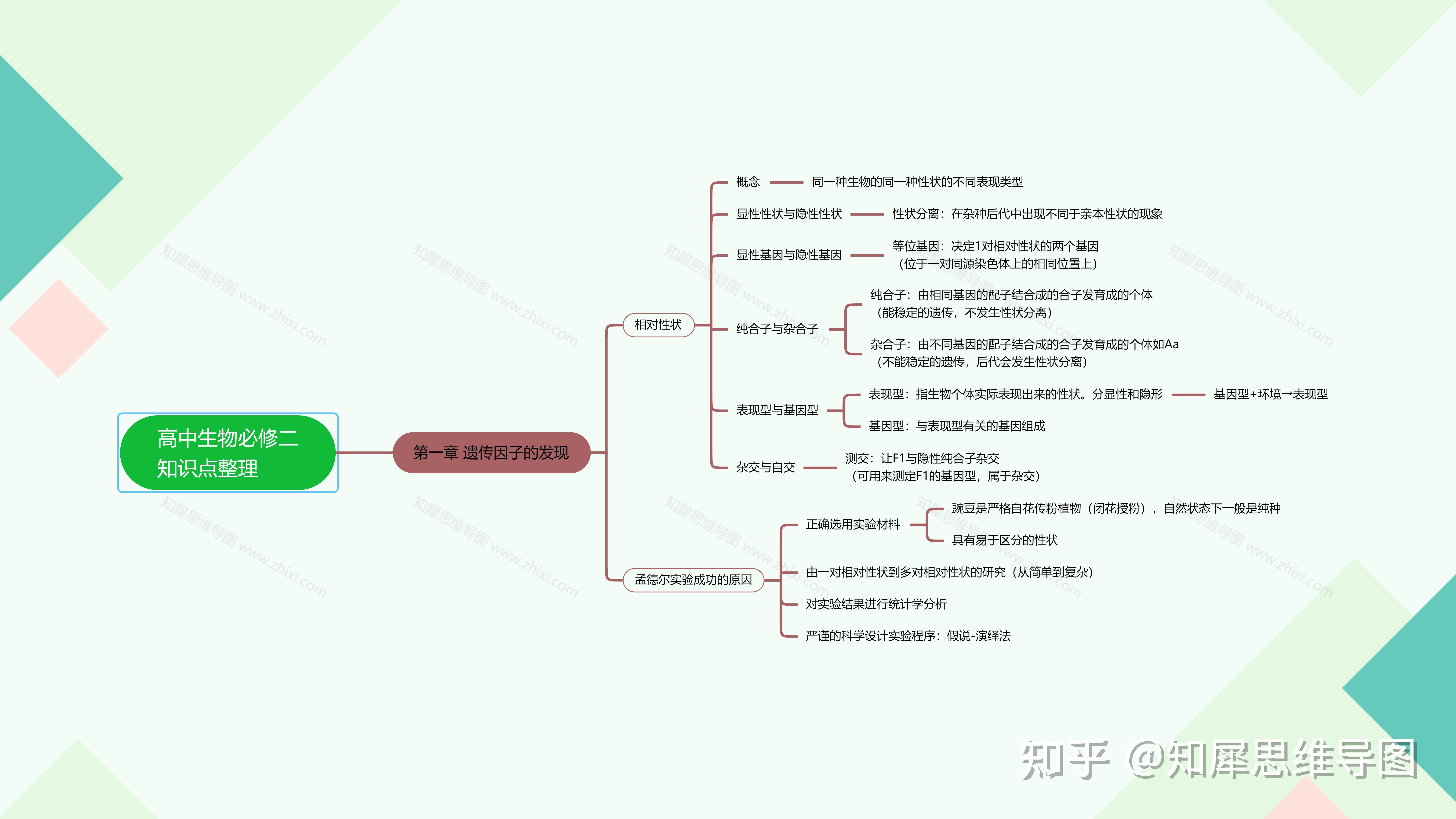 高中生物必修二第三章:基因的本質思維導圖4,高中生物必修二第四章