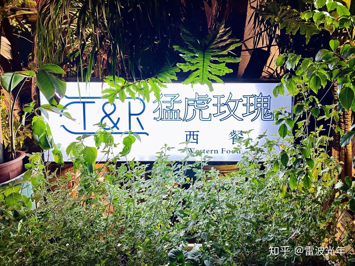 猛虎玫瑰,心有猛虎,细嗅蔷薇