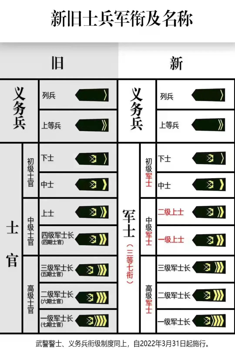 中国一级军士长图片