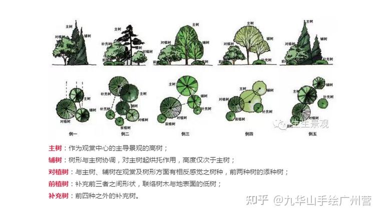 【风景园林考研快题必看】高分植物配置(下) - 知乎