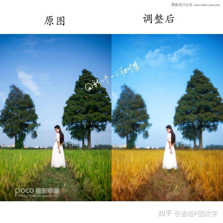 ps无痕改字去水印pdf文件修改证件照合成截图手写数日期ps调出人像