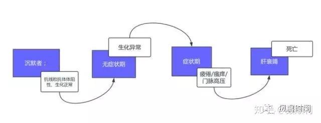 易導致肝硬化肝癌的免疫性肝病上