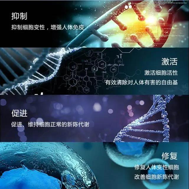 肽能细胞激活项目