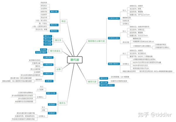 生物化学——糖代谢思维导图(系列六)