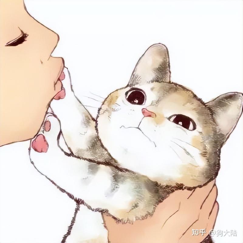 “吸猫”有益健康，不是谣言，是有科学依据的！ - 知乎