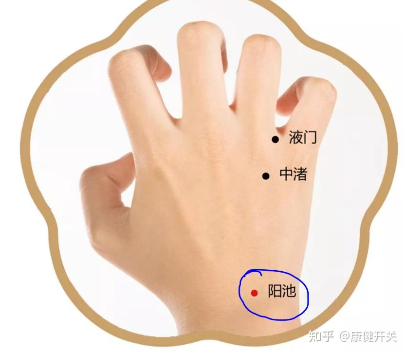 颈椎病按揉这里自己就可以轻松搞定