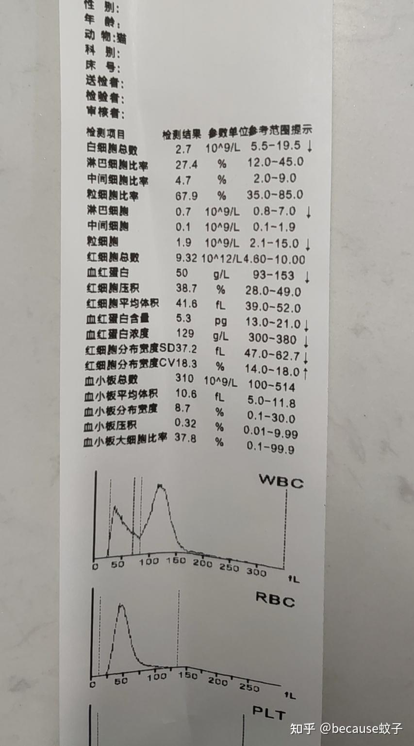 猫瘟治疗记录:提高治愈率,从预防到治疗