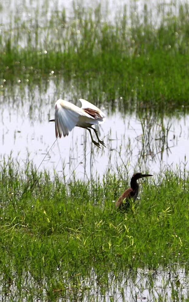 律师支招如何在公司章程中巧妙约定同股不同权