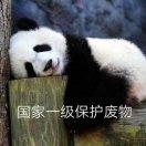 国家一级保护废物