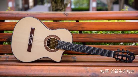 初学古典吉他,需要注意什么丨玛丁尼陈志教授 - 知乎