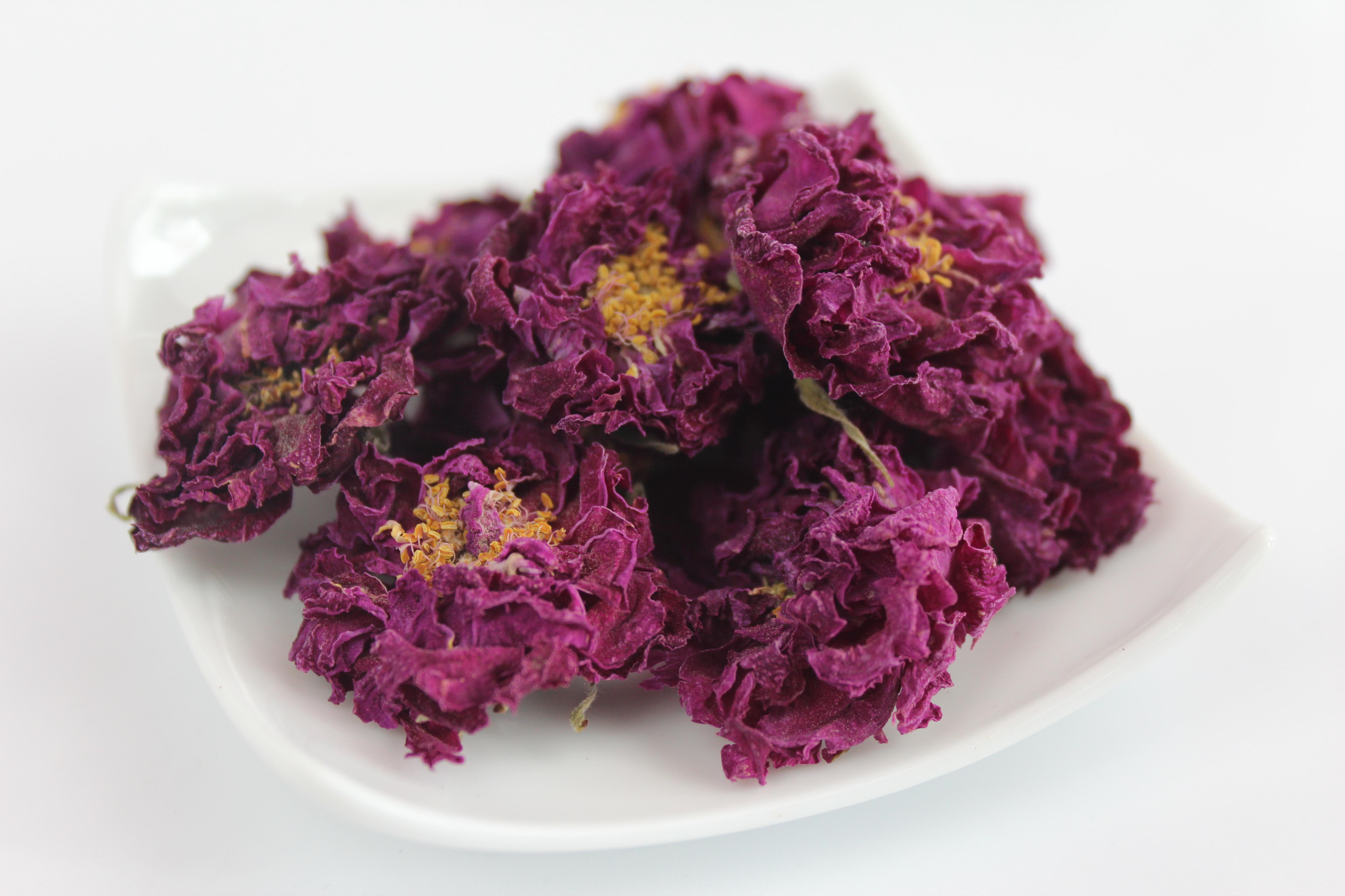 你所不知道的香遇花舍重瓣玫瑰