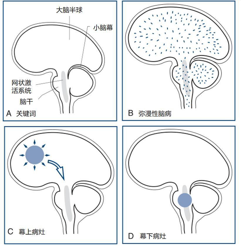 颅神经查体图片