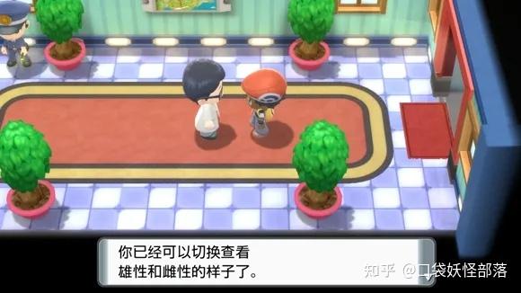 宝可梦晶灿钻石发售日期(《宝可梦晶灿钻石明亮珍珠》一周目图文攻略)  第198张