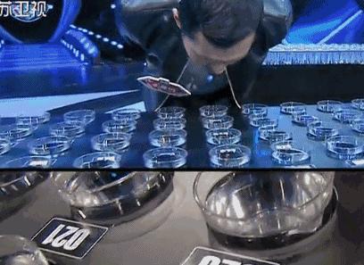 最强大脑水哥王昱珩微观辨水揭秘其实你也可以做到