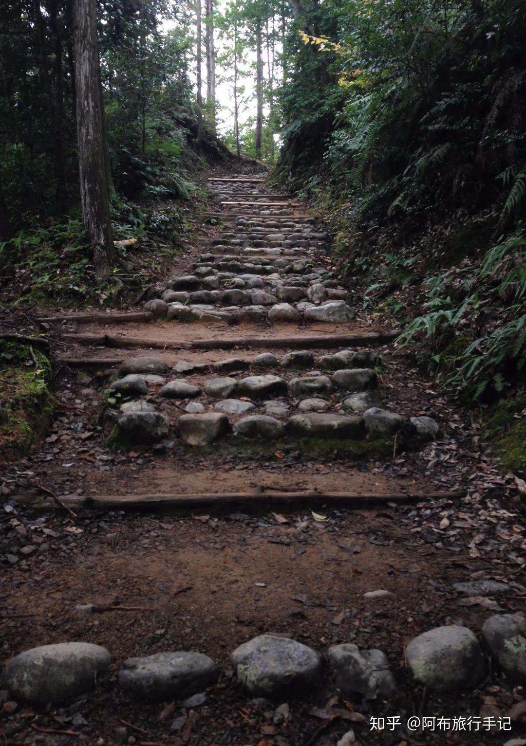 镜头背后如何拍出秘境日本一名摄影师的熊野古道之旅