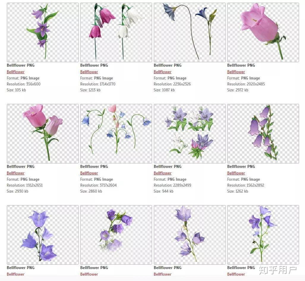 什么软件可以抠图换纯色背景?