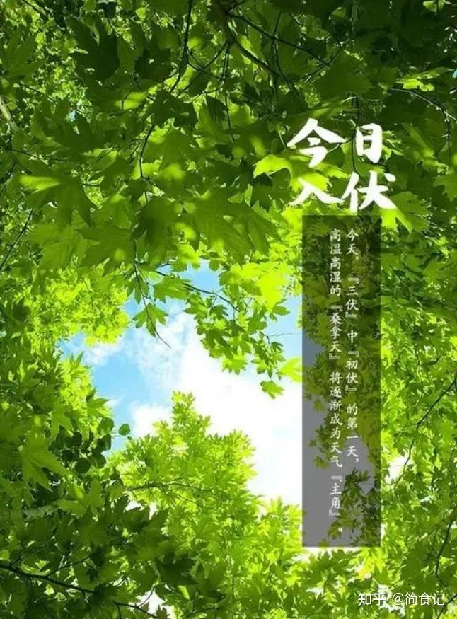 入伏第一天,除了要吃饺子外,这5大禁忌,3大习俗,您都知道吗? - 知乎