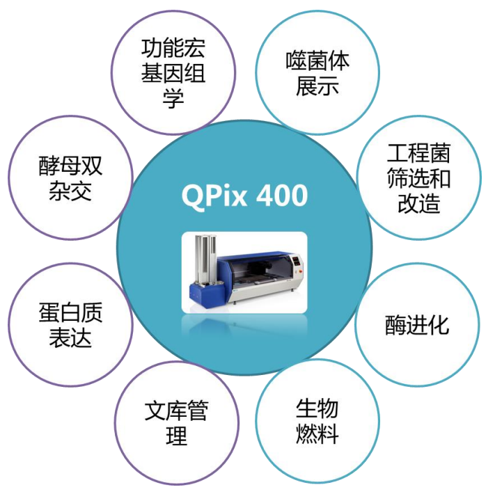 qpix 400 系统还可以用于酵母,链霉菌,微藻等,广泛适用于工业微生物