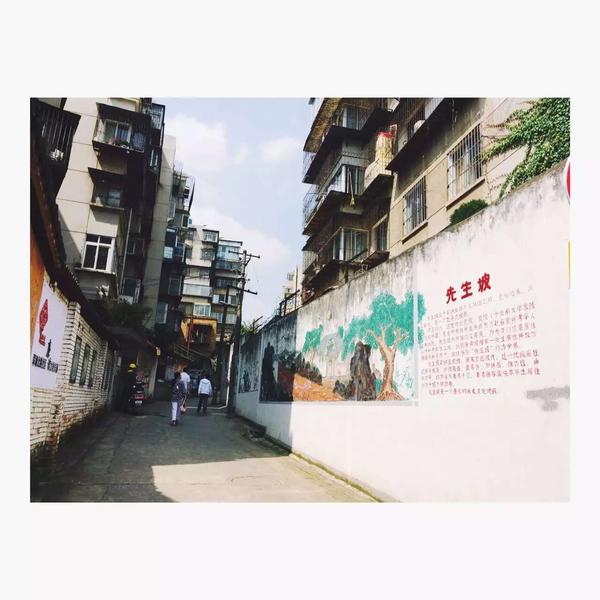 在昆明一个人一天去哪玩比较好?