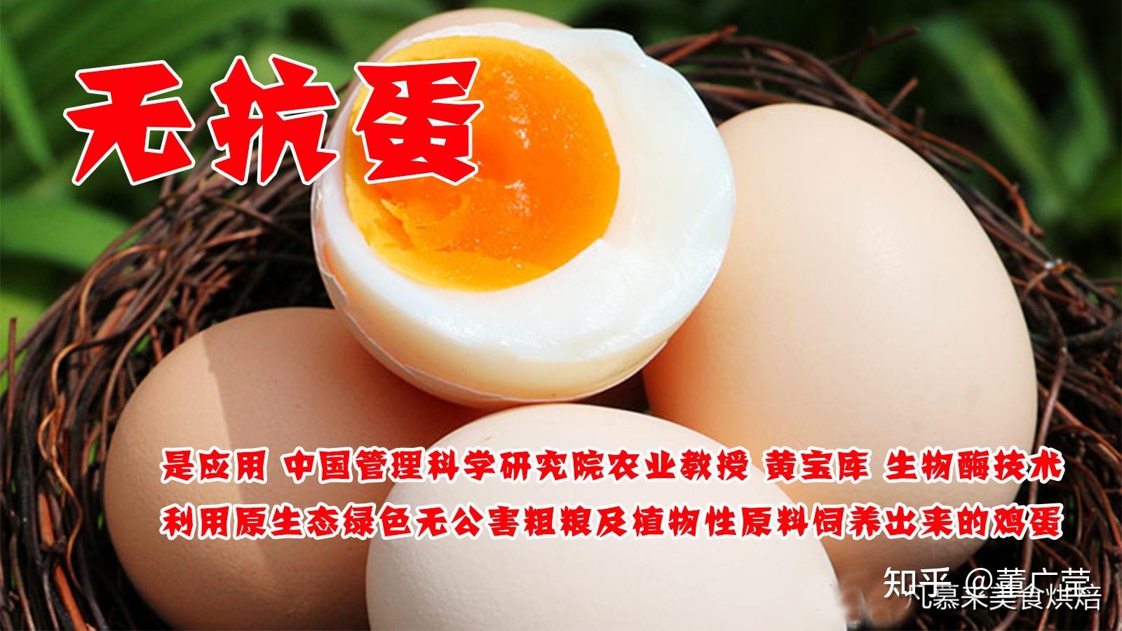 无抗蛋什么意思如何区分散养土鸡蛋白皮鸡蛋好还是红皮鸡蛋好如何挑选