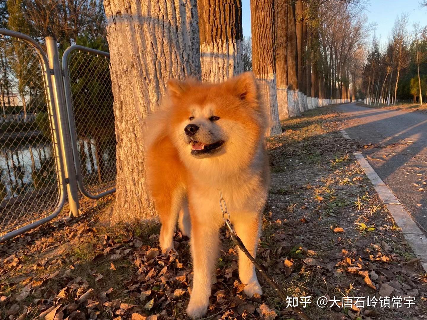 忙完一切,和几个朋友一起喝茶,业余时间聊到了小母狗 石常宇裸澡的