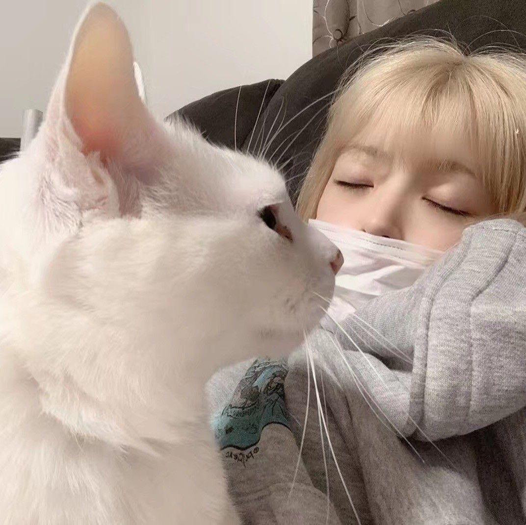 冬天氛围感头像女头小众雪景女头可以和男朋友一起用最后一张壁纸