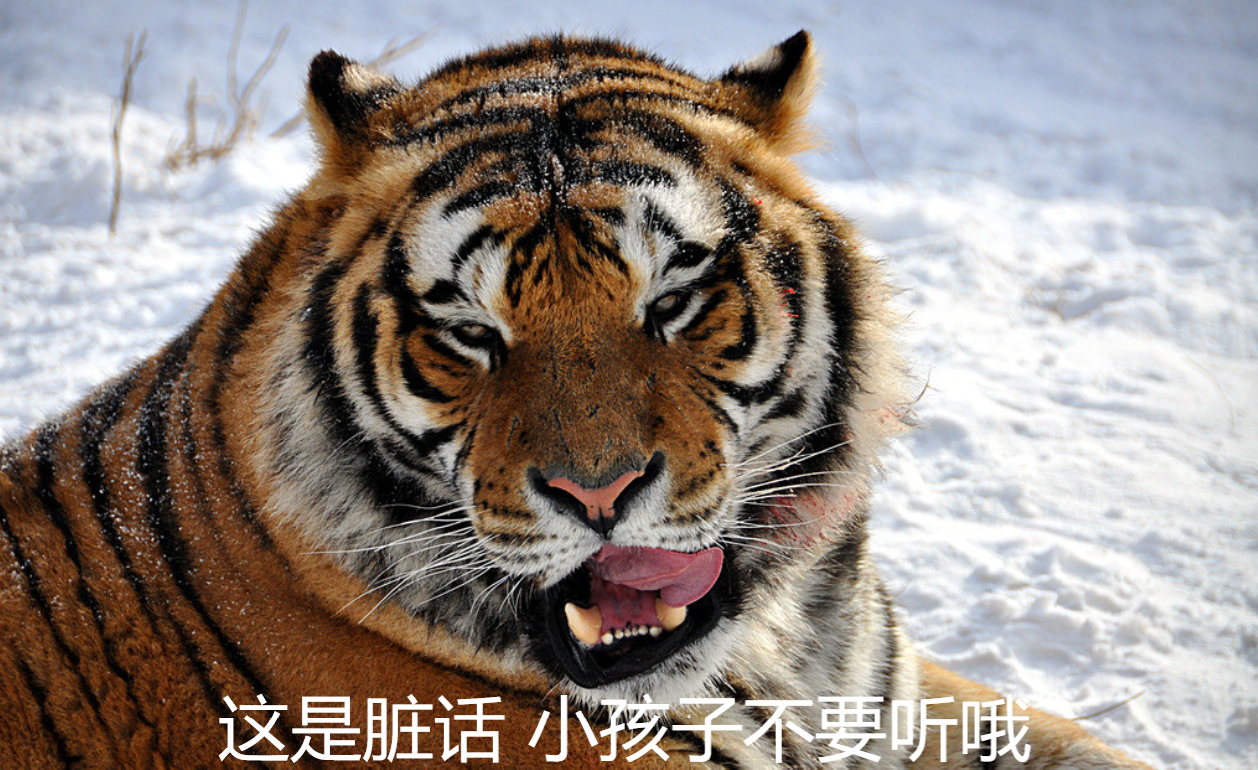 v2-cca45e51e594d5b91c91515771f3be8b_r.jpg