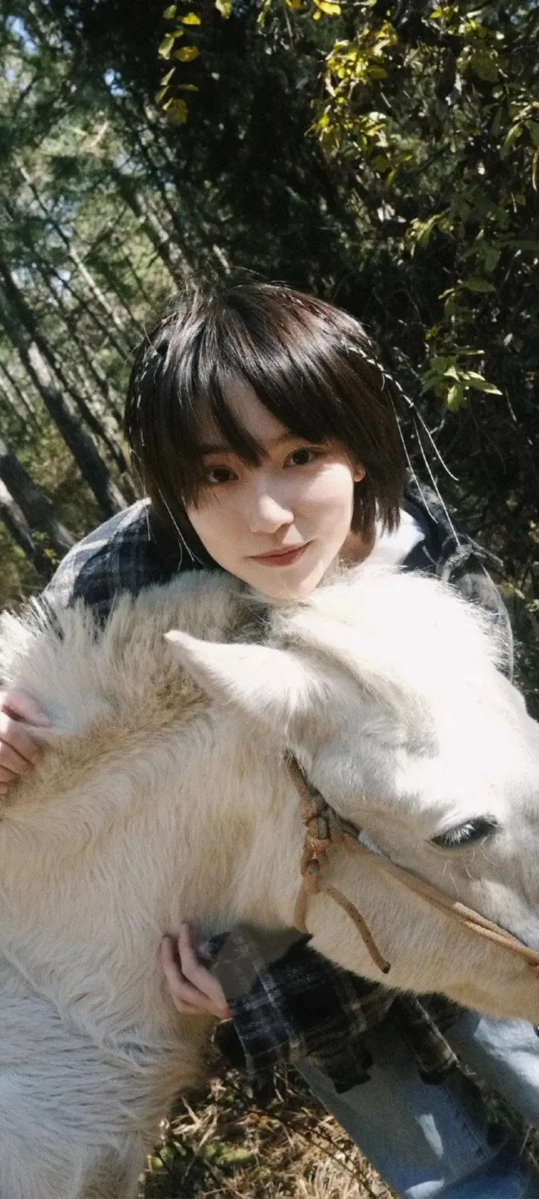 有没有成果的高清图片可以当壁纸的那种