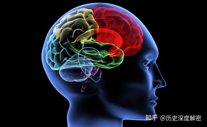 人的大脑大约相当于多大的内存？几百MB，还是几百个T？
