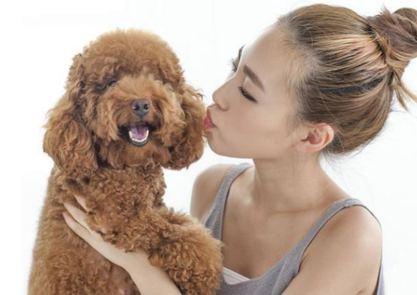 体味最浓的几种狗 名副其实的 臭狗子 知乎