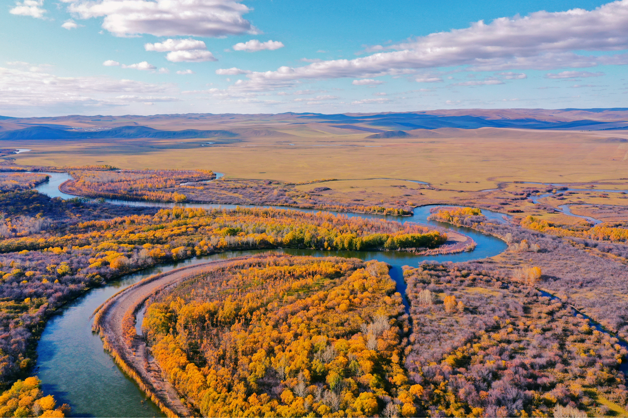 无人机航拍江苏无锡太湖湖边风景和鸟