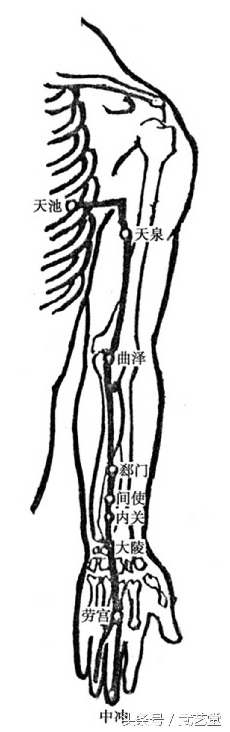 十二经络走向图及穴位养生调理方法
